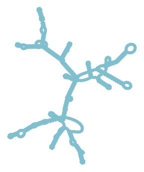 Consensus structure of IRESG341