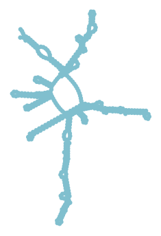 Consensus structure of IRESG342