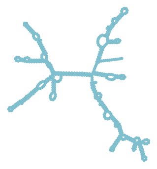 Consensus structure of IRESG343
